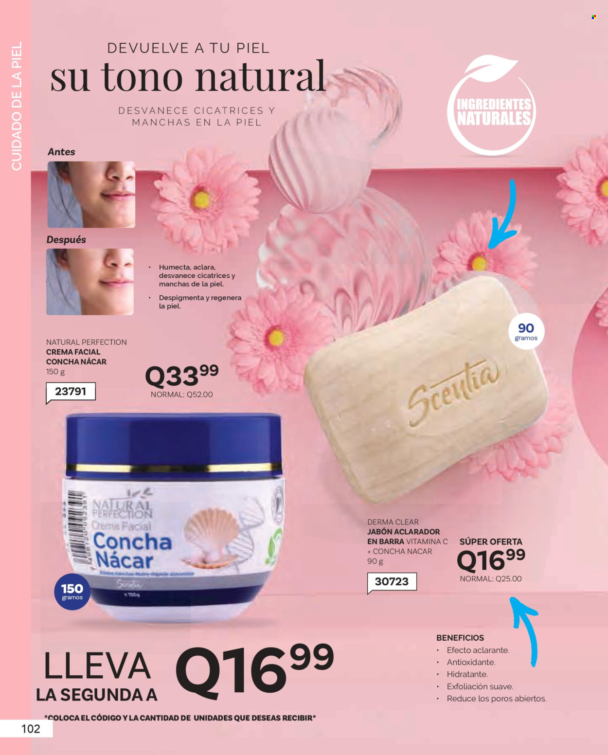 Catálogo Scentia. Página 104