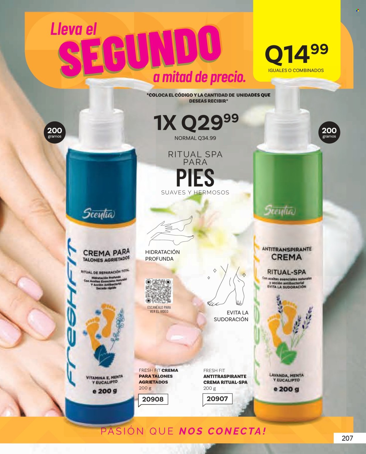 Catálogo Scentia. Página 211