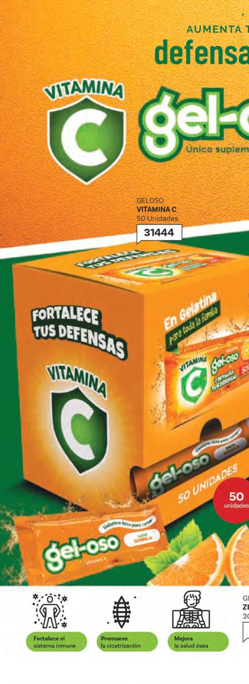 Catálogo Scentia. Página 230